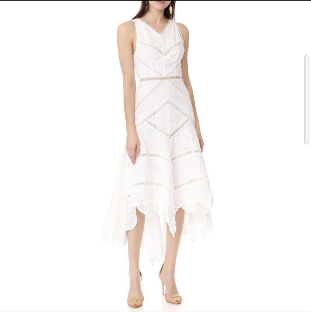 Zimmermann Mercer Fan Dress in Ivory